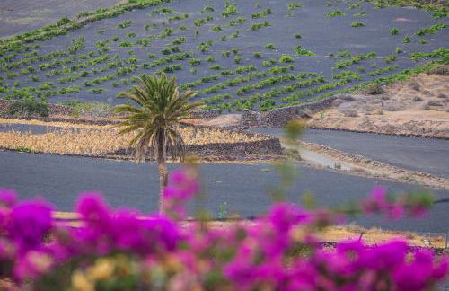 Holiday house Casa Mariposa in Tabayesco - Foto 42