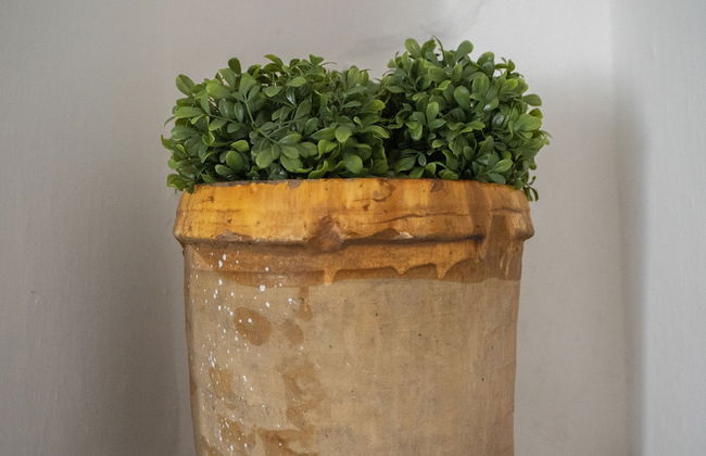 Trullo Pinto - Foto 36