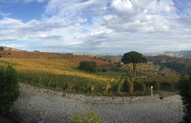 Quinta dos Espinheiros - Photo 31