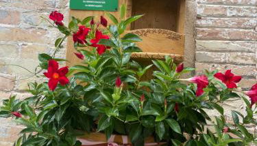 La casetta della nonna - Photo 2