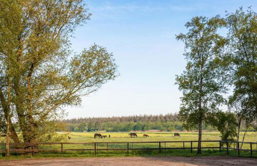 Ferienhaus LANDHAUS STUHRBERG - Foto 33