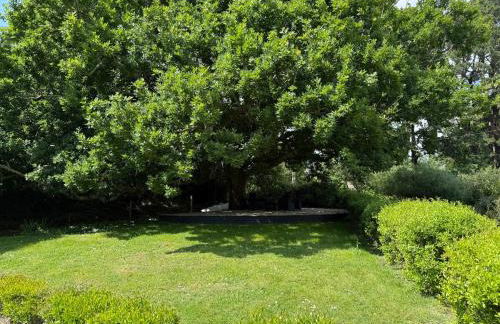 O Vran, suspends your flight-ACCES PLAGE-parc naturel prive - Foto 9