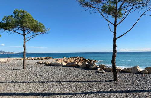 Appartement climatisé les pieds dans l'eau pour 6 personnes avec 1 suite parentale, 1 chambre double et 1 mini chambre Piscine sur le toit clim garage - Foto 22