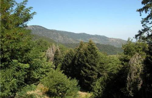 Kastorio-Villy's Guest House - Foto 66