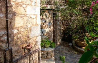 PositiveSpace Olive Tree - Foto 18