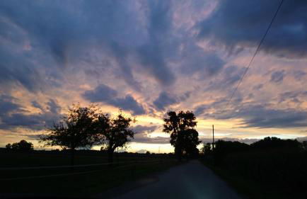 Ferienhof Fenzl - Foto 29