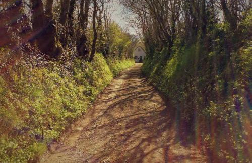 Bosvean Cottage - Foto 2