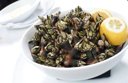 Casa do Sol - Foto 52