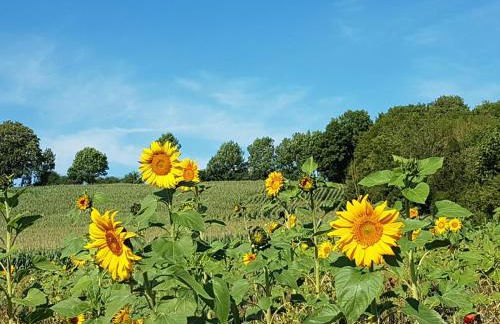 Ferienwohnung am Grasweg - Foto 18