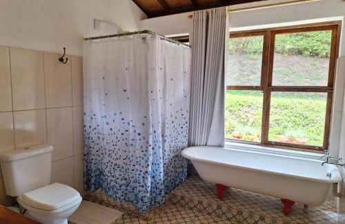 Retiro Sol e Chuva - Foto 29