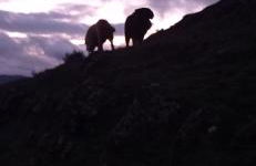 Los Tres Hórreos - Foto 58