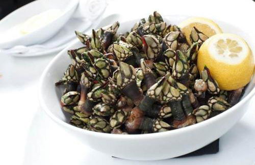 Villa Marocco style - Foto 61