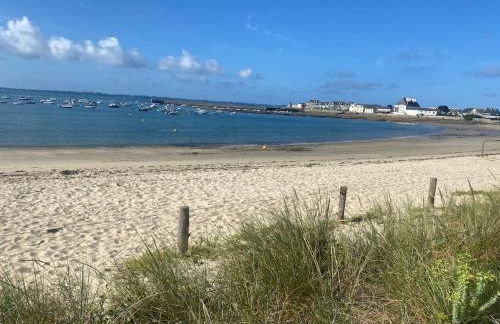 Le Calypso, studio avec terrasse à 50m de la mer ! - Foto 15