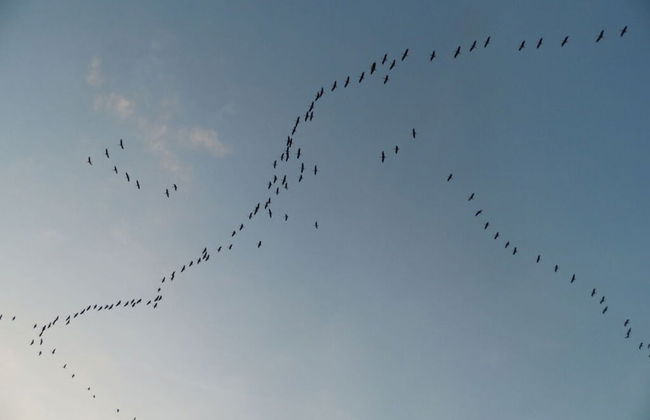 Family Idyll Comfortable Holiday Residence - Foto 8