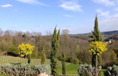 HillTop House - Foto 49