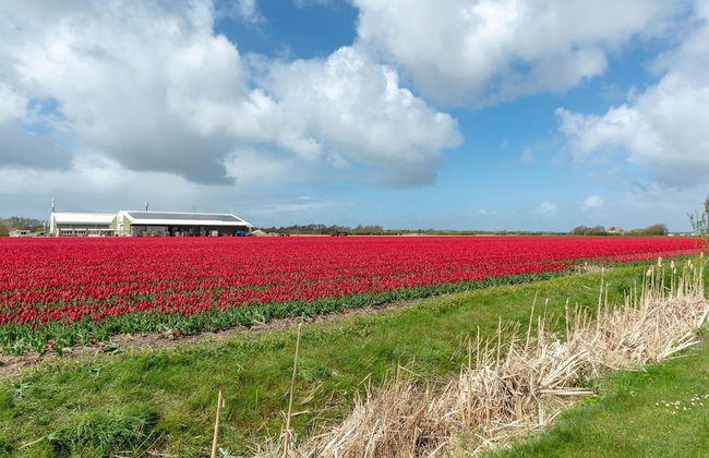 Radiant Bungalow With Patio at Duinland - Foto 60