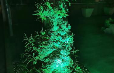 APARTAMENT ORIHUELA COSTA PLAYA FLAMENCA - Foto 36