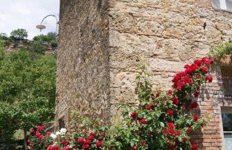 Agriturismo Le Cantine - Foto 22