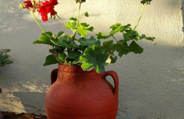 Πραβιτάδικο - Photo 35