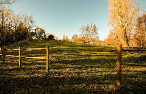 Homnest - Clairiere des Animaux - 1h de Toulouse - Photo 33