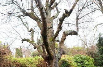 Wohnung am See - Foto 38