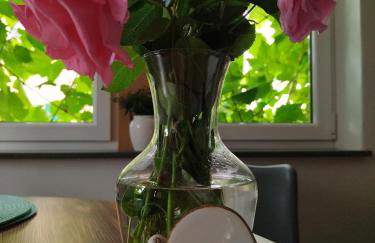 FeRo´s Ferienwohnung - Foto 29