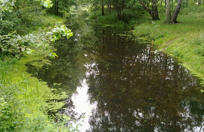 Holzhaus am See - Foto 8