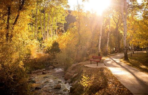 Woodland Camping Cabin for Biking near Arkansas Hills Trail in Colorado - Foto 20