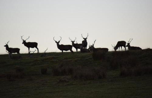 3 St Gilbert Street - Photo 50