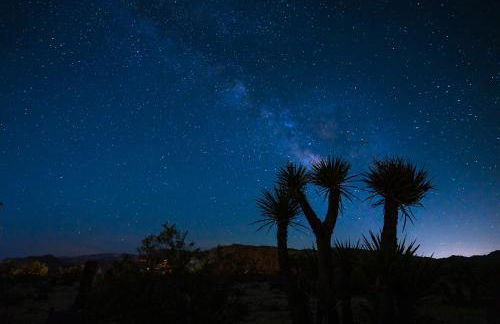 Skelton Compound - Foto 1