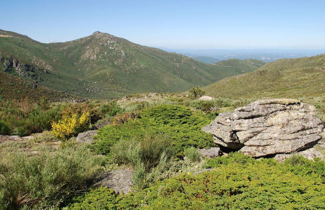 Spacious Holiday Home on Estate Near Covas - Foto 24