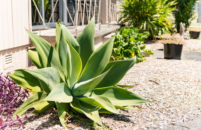 Waitangi Beach Units - Foto 15