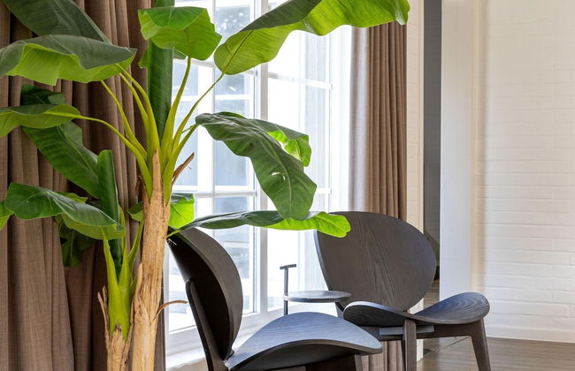 Luxury Villa in Sint-Idesbald with Hot Tub - Photo 36