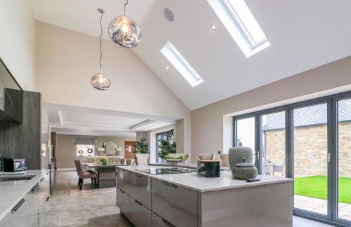 15 Chivits - Ukc8971 - Photo 5