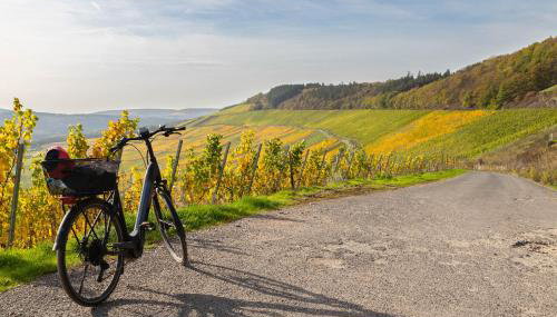 Ferienwohnungen zum Goldgräber - Stilvoll wohnen - Parkplatz - Perfekt für Moselurlaub - Foto 4