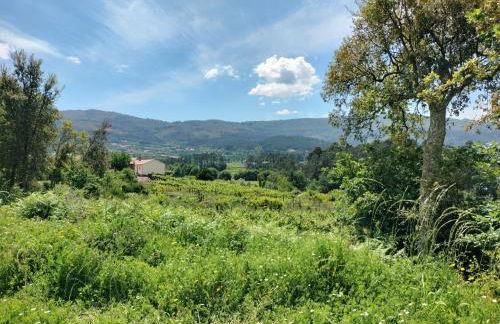 Casa das Bouças - Foto 40