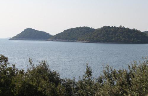 Apartments by the sea Ubli, Lastovo - 8355 - Foto 65