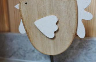 Loch Cromore Holiday Pods - Photo 10