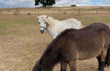 The Old Stables - Photo 34