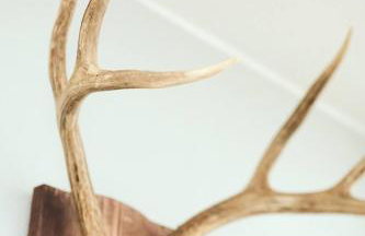 Elegant Escape 2 blocks to Historic downtown - Foto 42