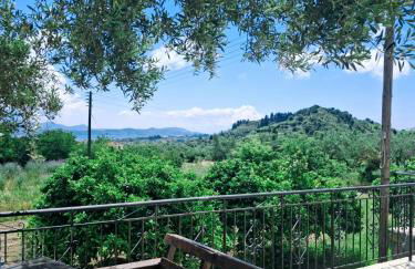 Olivo Apartment - Studio - Foto 25