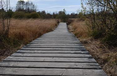 Ferienhaus Toni - Foto 19