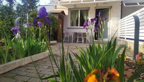 BHH Appartamento Signorini Bologna -wwwbolognaholidayhomecom- Parcheggio Riservato e Giardino - Holiday House Bologna Garden Parking - Foto 2, Garden, Garden view
