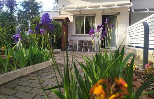 BHH Appartamento Signorini Bologna -wwwbolognaholidayhomecom- Parcheggio Riservato e Giardino - Holiday House Bologna Garden Parking - Foto 2