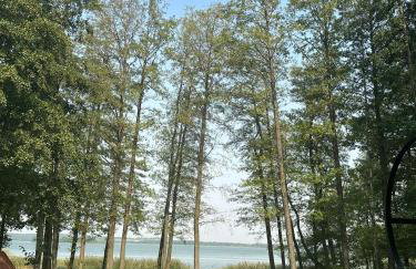 Ostoja Leśniewo - Foto 38