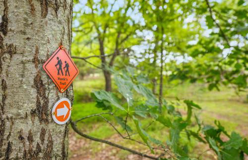 Trailblazer Lodge - Upscale, hot tub, trail, game room, wifi, fire pit, bar, pool table, king bed, view, pet friendly - Photo 18