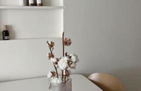 Baby Jane, Studio front de neige - Photo 32