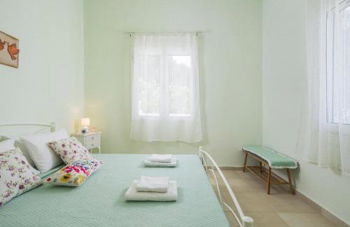 OLIVE BREEZE - Photo 13