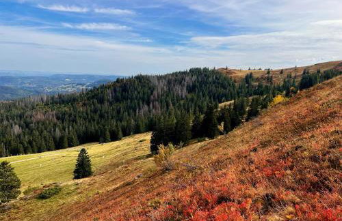 Ferienhaus Robin - Foto 18