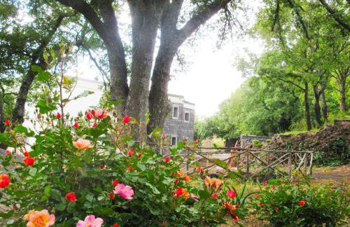 Boscoscuro - Foto 30